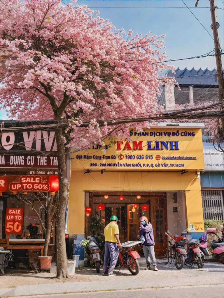 Dịch vụ mâm cúng tạ đất tại nhà cuối năm trọn gói - Đồ Cúng Tâm Linh