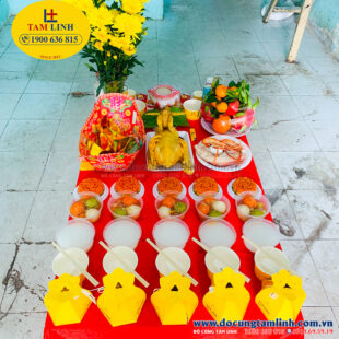 cung dong tho phuong an 1 anh 2