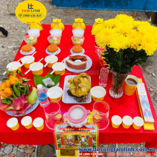 Mâm cúng dành cho cúng động thổ khoan giếng
