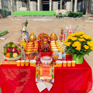 mam cung dong tho khoi cong 5