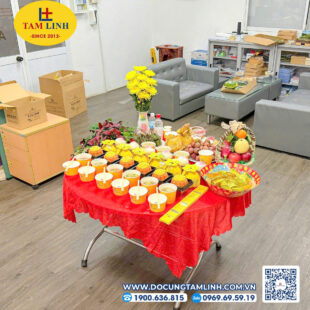 mam cung tet doan ngo 2025 3