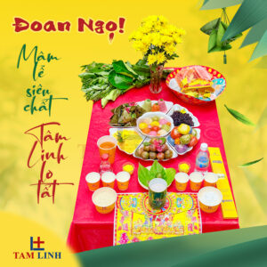 Mâm Cúng Tết Đoan Ngọ COMBO 799K TDNCB-K799