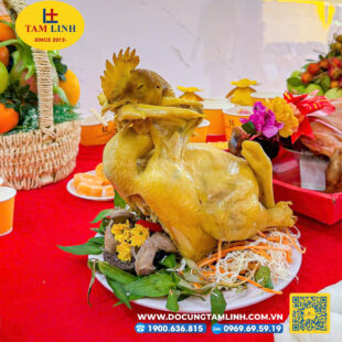 cung co hon thang 7 heo ga 5