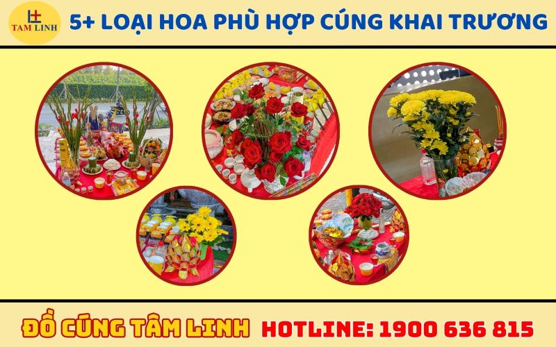 5+ Loại hoa phù hợp cúng khai trương