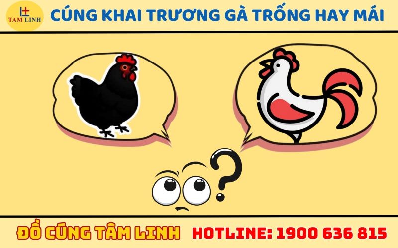 Cúng khai trương gà trống hay mái?