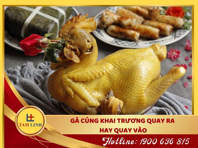 Gà cúng khai trương quay đầu ra hay vào?