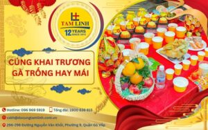cúng khai trương gà trống hay mái