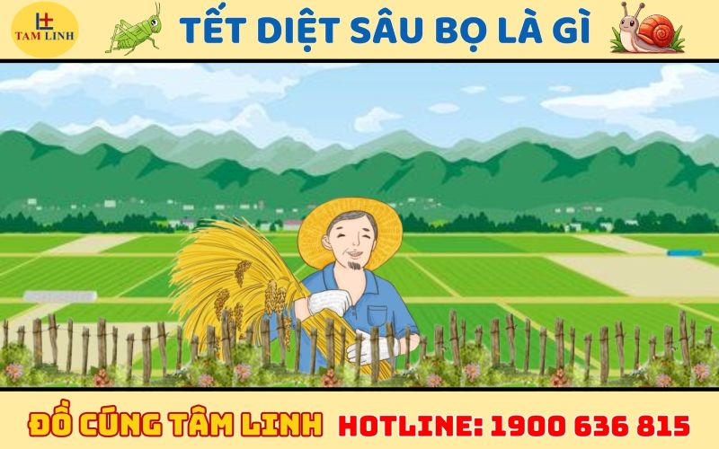 tết diệt sâu bọ là gì 
