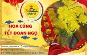 thumbnail hoa cung tet doan ngo 1