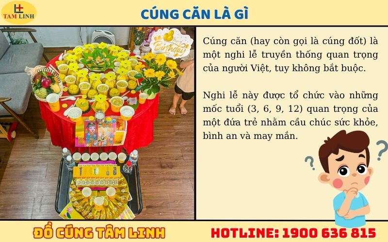 cung can la gi