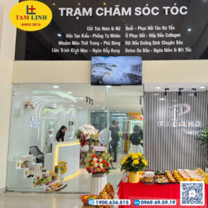 cung khai truong tiem toc