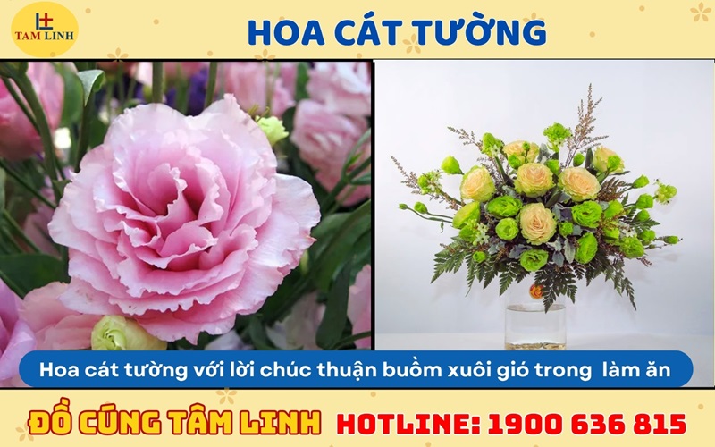 hoa cát tường cúng khai trương