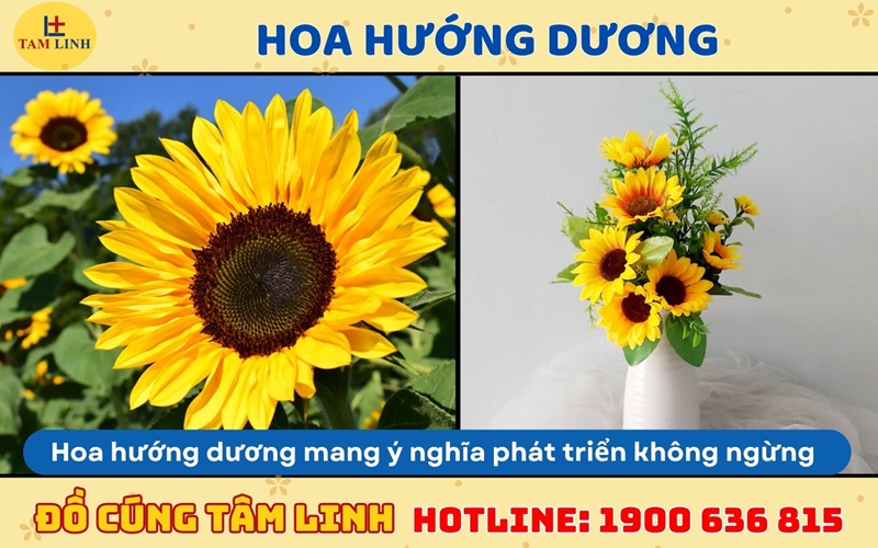hoa hướng dương cúng khai trương