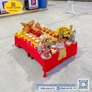 khai truong kinh doanh xang dau