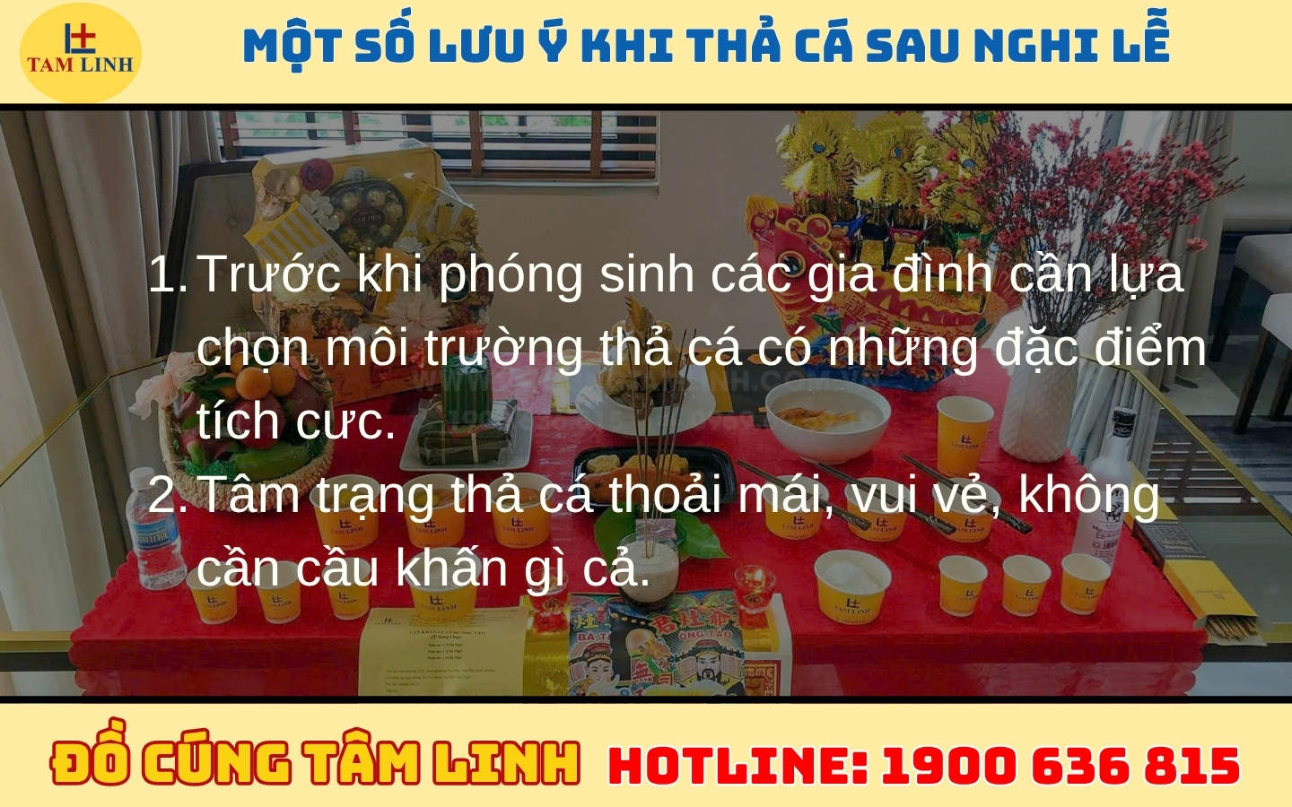 Một số lưu ý khi thả cá sau nghi lễ