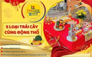 thumbnail 5 loai trai cay cung dong tho