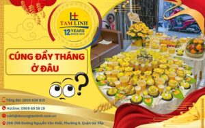 thumbnail cung day thang o dau