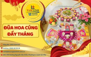 thumbnail dua hoa cung day thang