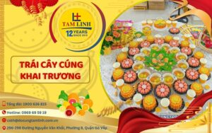 trai cay cung khai truong