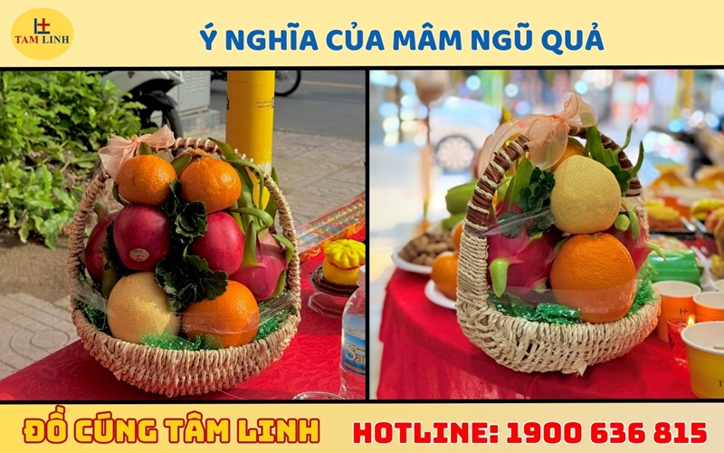 y nghia cua mam ngu qua 2
