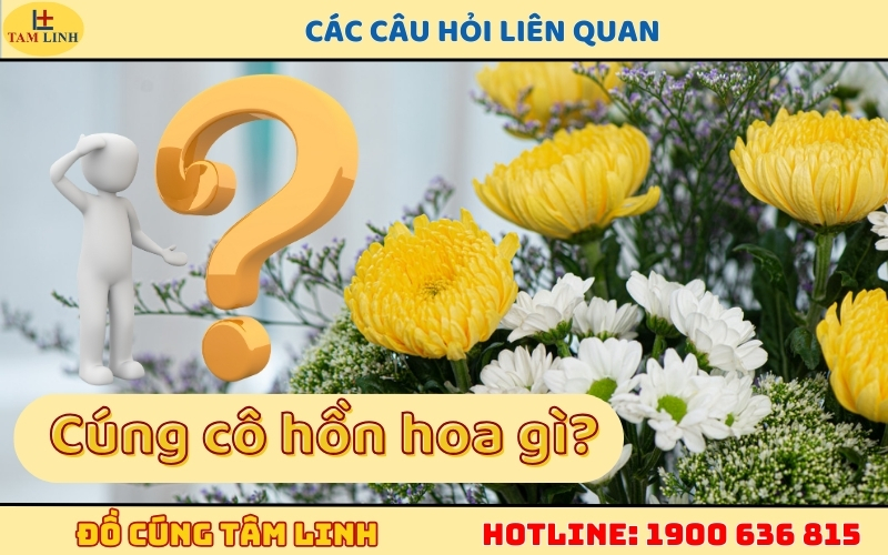 Các câu hỏi liên quan