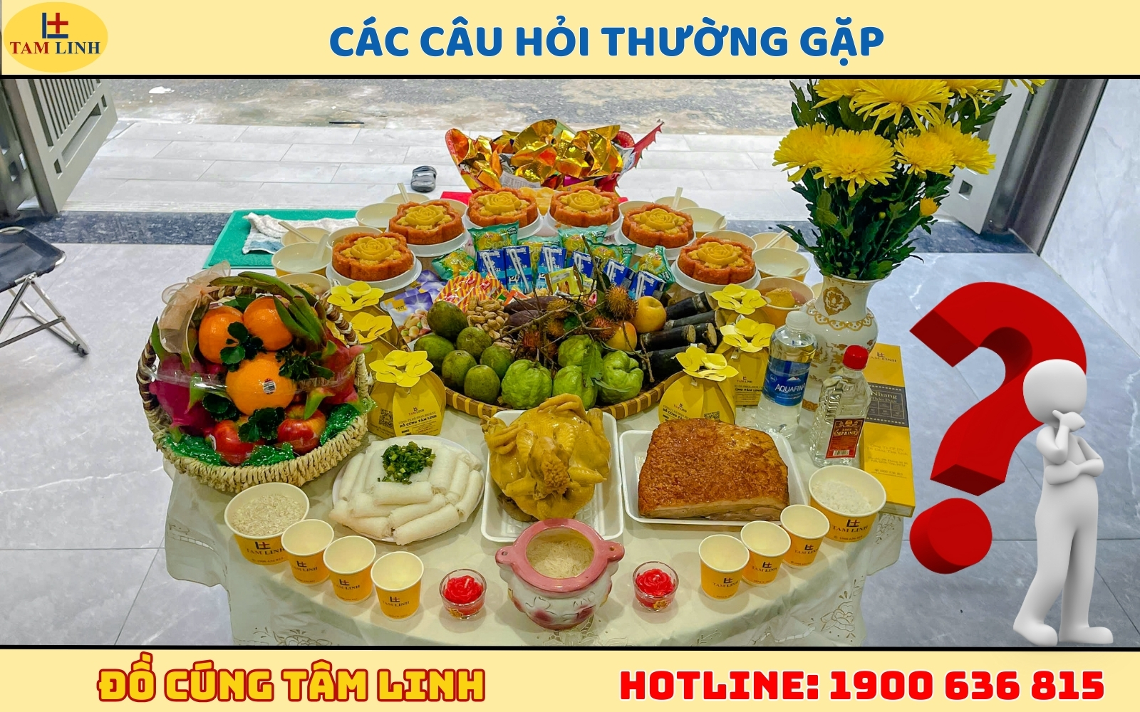 Các câu hỏi thường gặp