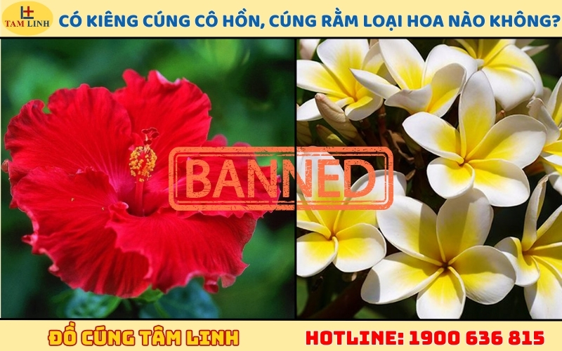 Có kiêng cúng cô hồn, cúng Rằm loại hoa nào hay không