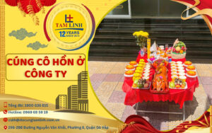 cung co hon o cong ty
