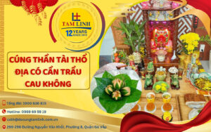 cung than tai tho dia co can trau cau khong