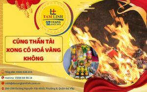 cung than tai xong co hoa vang khong