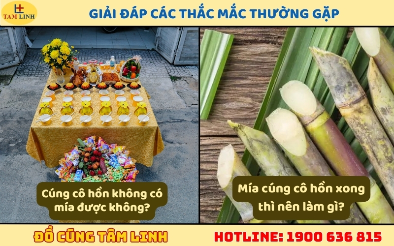 Giải đáp các thắc mắc thường gặp