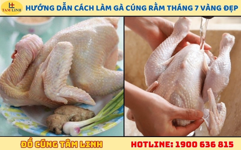 Hướng dẫn cách làm gà cúng Rằm tháng 7 vàng đẹp, da căng bóng