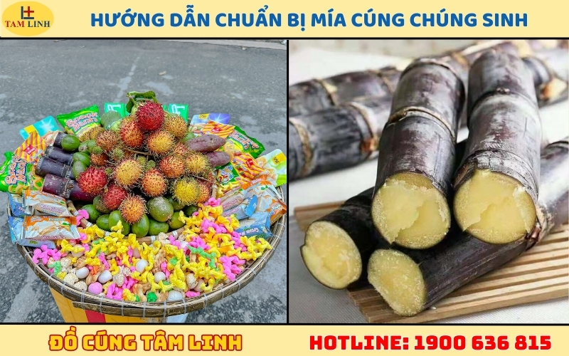 Hướng dẫn chuẩn bị mía cúng chúng sinh đúng lễ