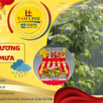 khai truong troi mua