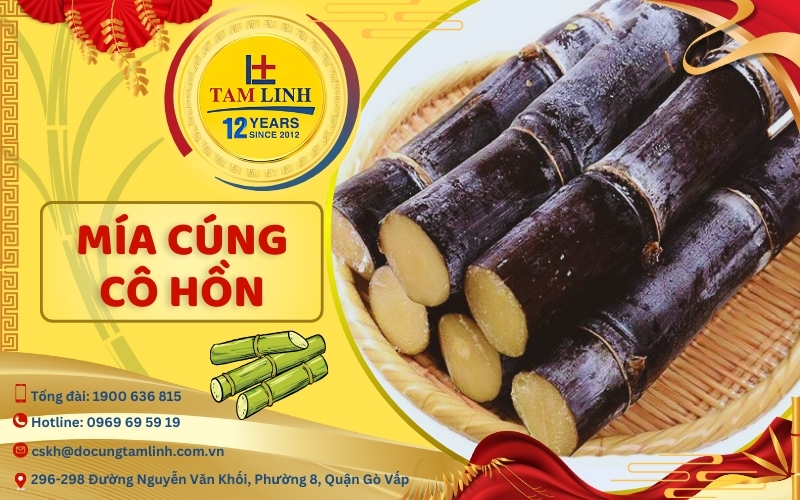 mia-cung-co-hon