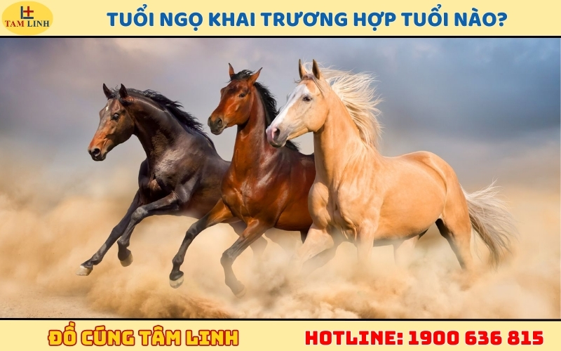 Tuổi Ngọ khai trương hợp tuổi nào