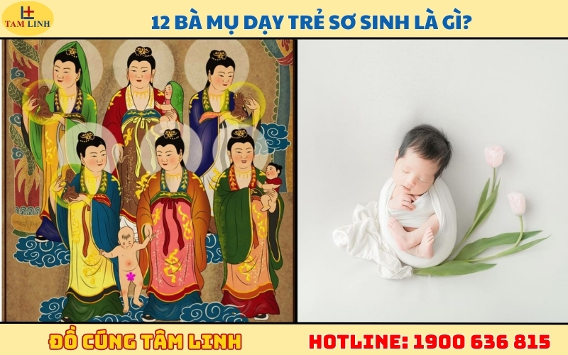 12 Bà Mụ dạy trẻ sơ sinh là gì