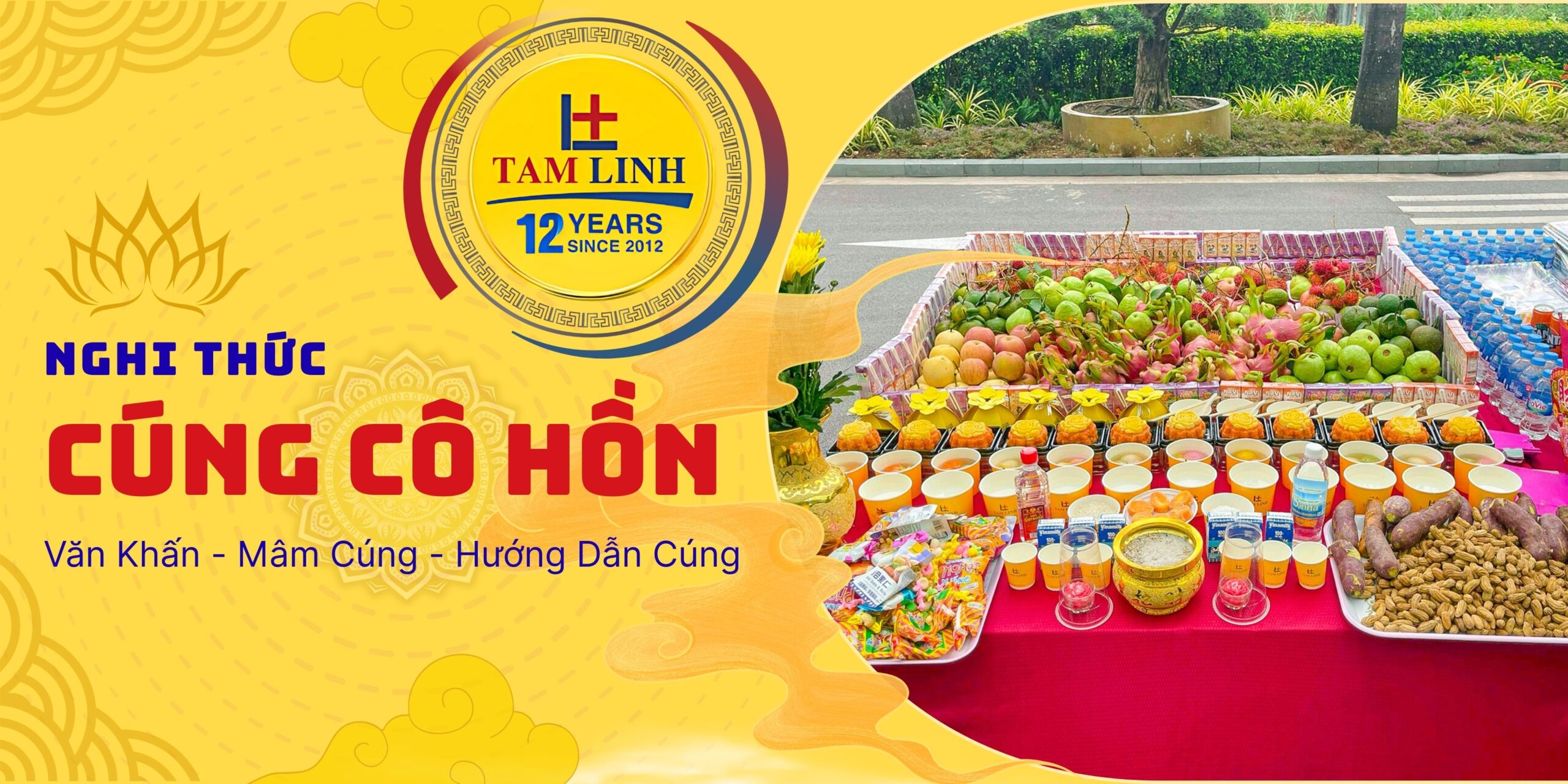 banner le cung co hon scaled