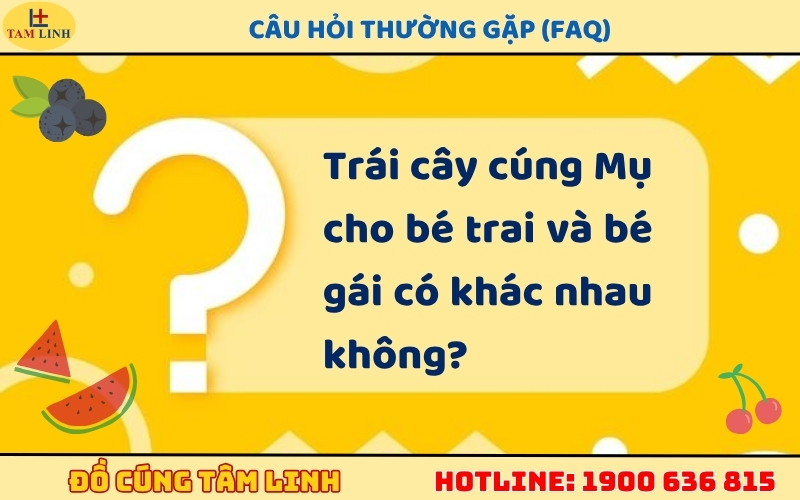 Câu hỏi thường gặp (FAQ)