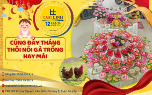 cung day thang thoi noi ga trong hay mai