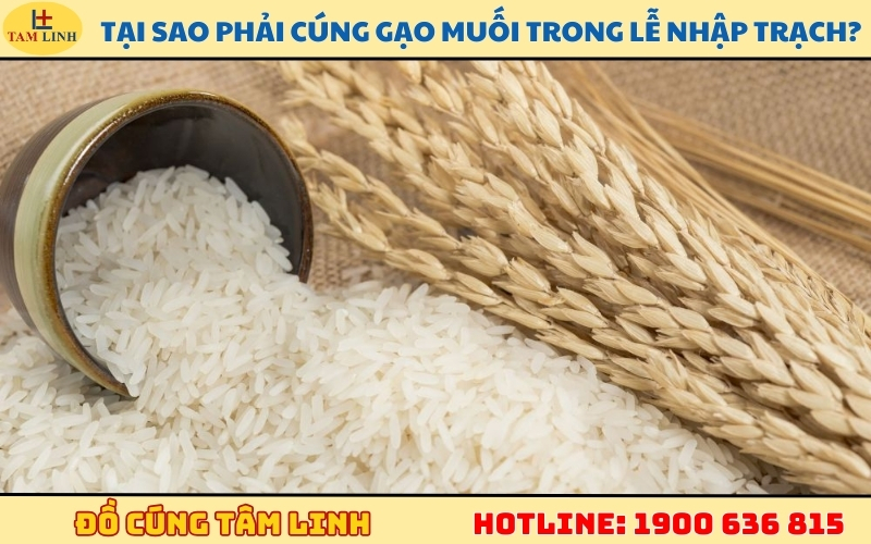 Tại sao phải cúng gạo muối trong lễ nhập trạch