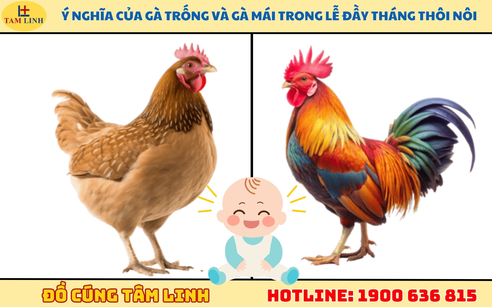 Ý nghĩa của gà trống và gà mái trong lễ đầy tháng thôi nôi