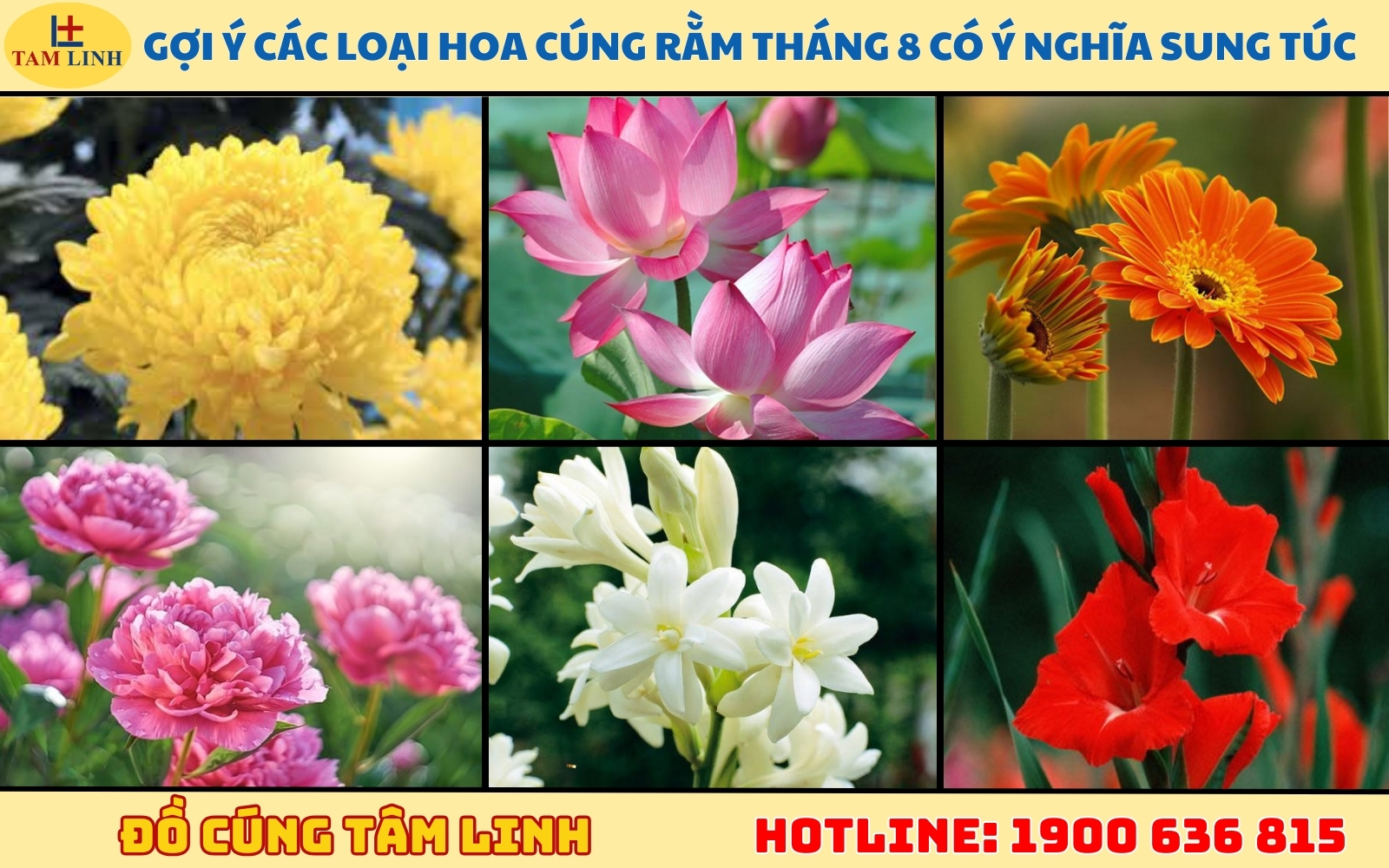 Gợi ý các loại hoa cúng rằm tháng 8 mang ý nghĩa sung túc