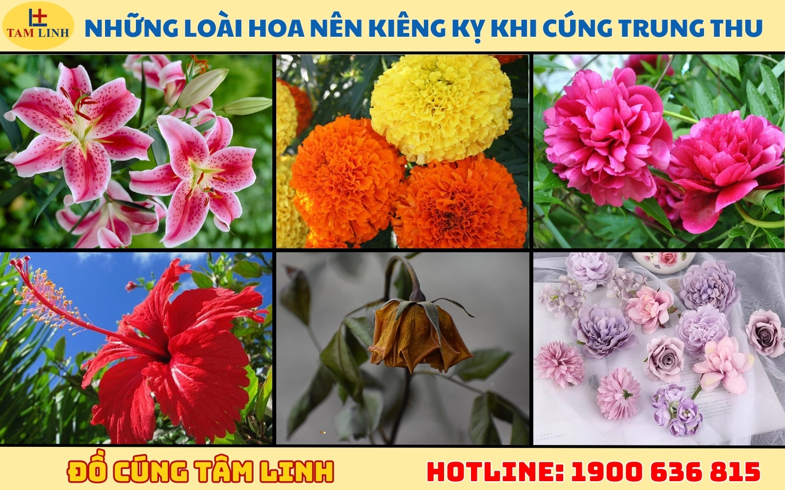 Những loại hoa nên kiêng kỵ khi cúng rằm tháng 8