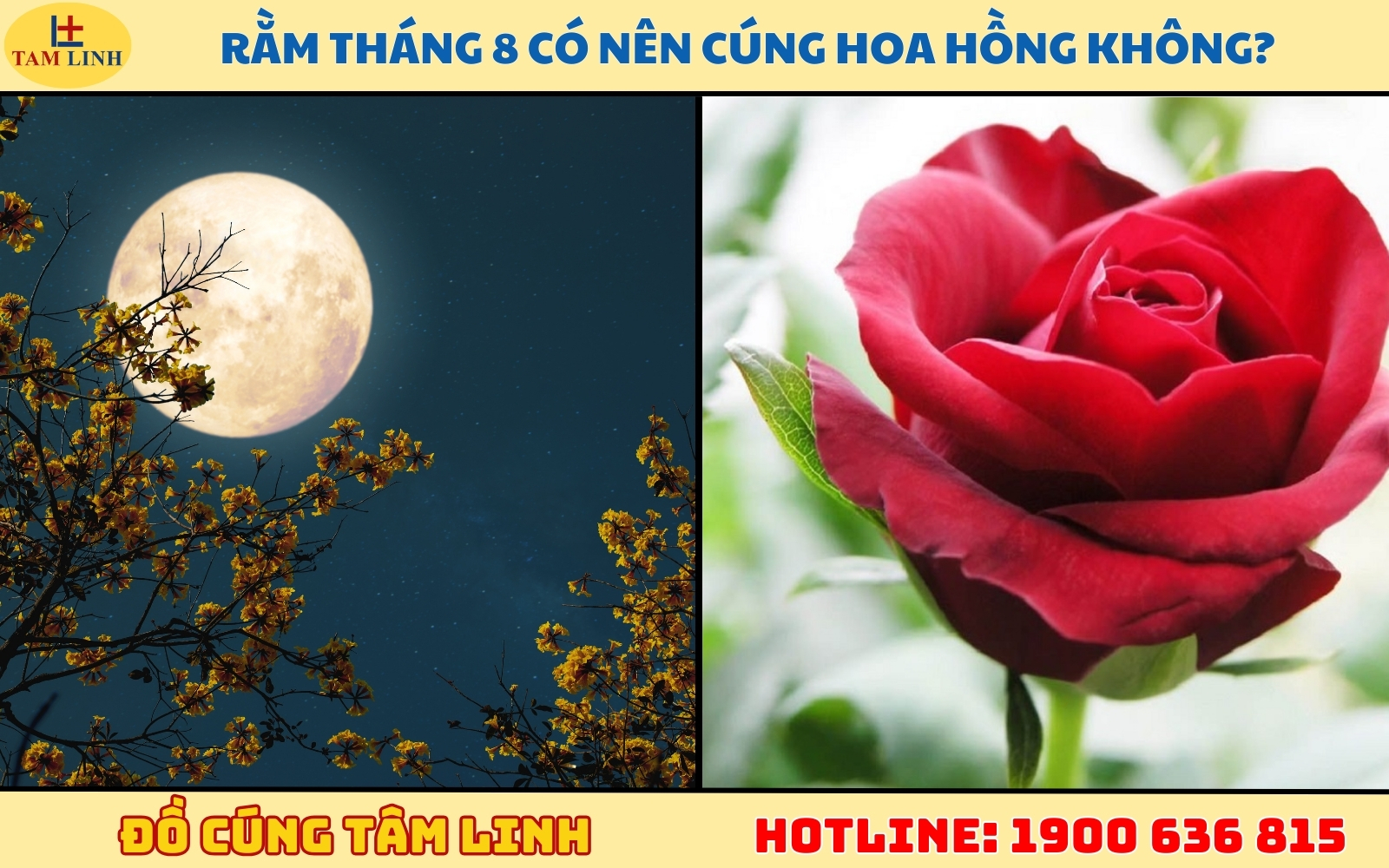 Rằm tháng 8 có nên cúng hoa hồng không