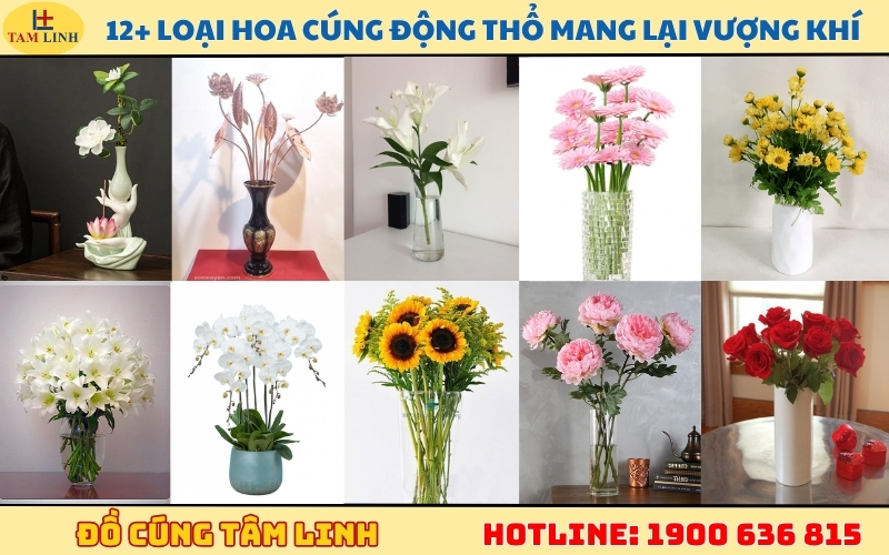 12+ loại hoa cúng động thổ mang lại vượng khí và may mắn