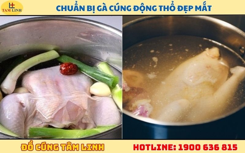 Chuẩn bị gà cúng động thổ đẹp mắt
