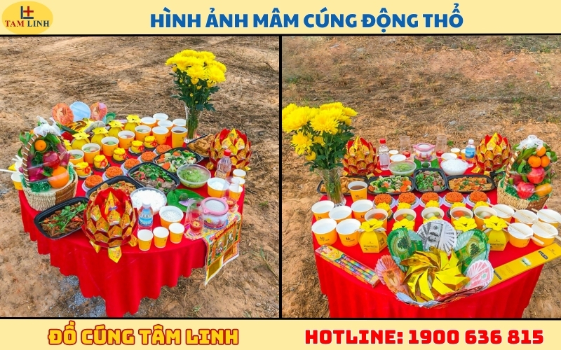 hinh anh mam cung dong tho don gian