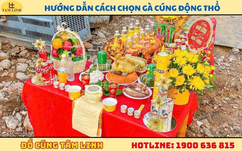 Hướng dẫn cách chọn gà cúng động thổ CHUẨN NHẤT