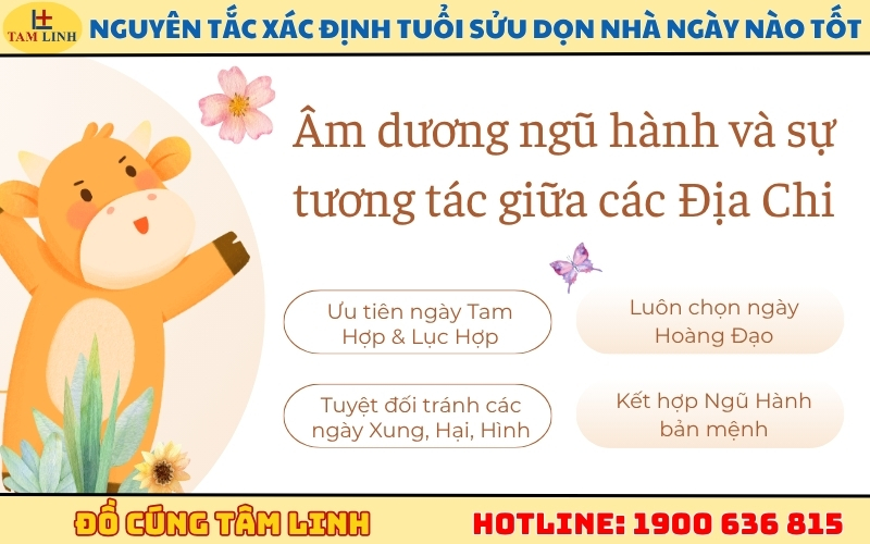 Nguyên tắc xác định tuổi Sửu dọn nhà ngày nào tốt